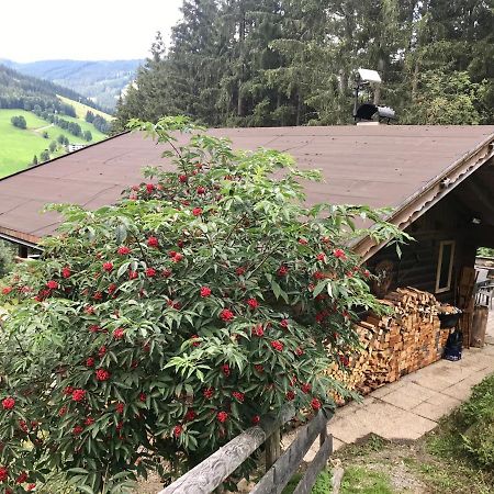 Wasserfallhuette Saalbach Exterior foto