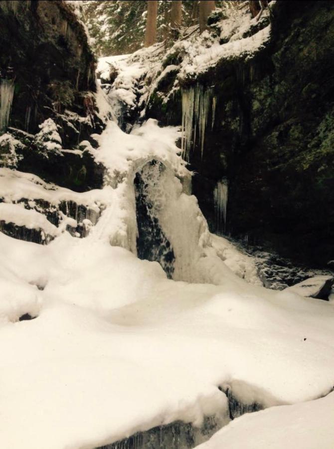 Wasserfallhuette Saalbach Exterior foto
